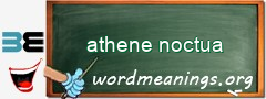 WordMeaning blackboard for athene noctua